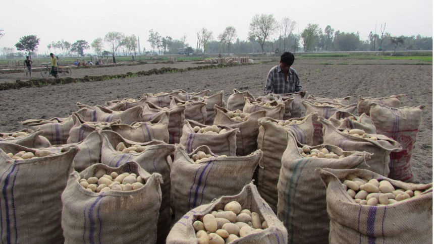 Potatoes Potatoes