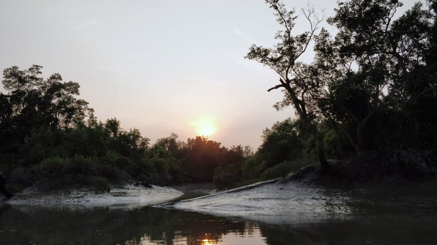 Sundarbans Sundarbans