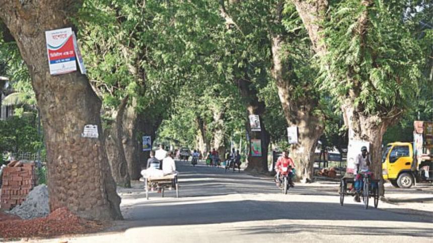 Jessore Road tress Jessore Road tress