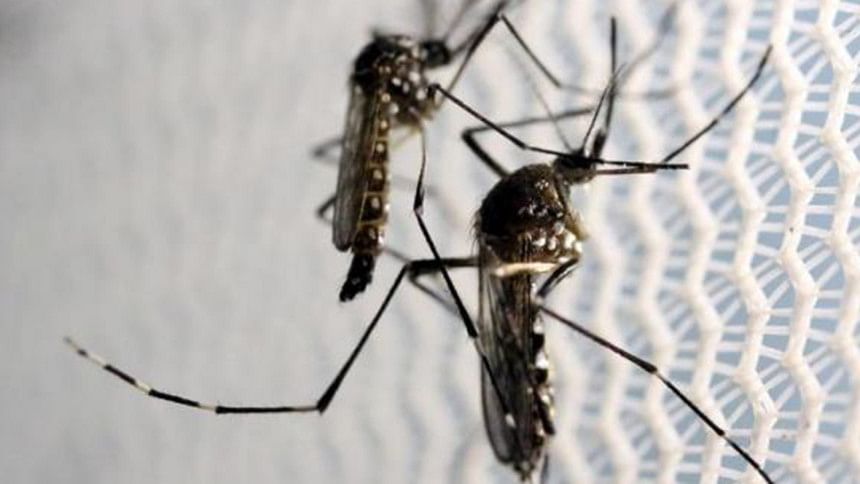 Zika virus cases in Bangladesh Zika virus cases in Bangladesh