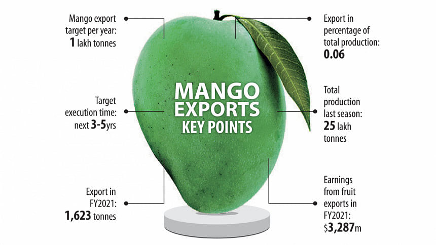 mango export business plan