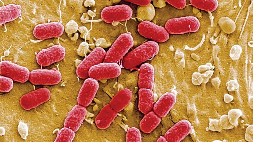 Unchecked infections: When hospitals turn deadly Bangladesh health sector