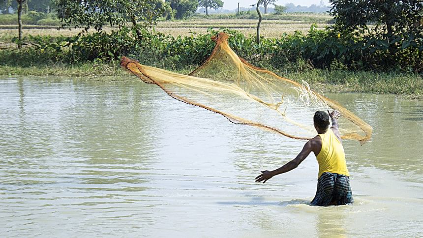 agriculture of bangladesh essay