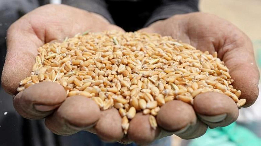 Wheat prices down as India resumes exports through Hili land port