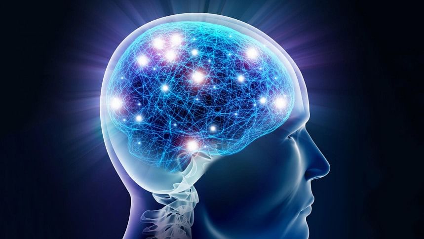 How to improve brain function? How to improve brain function?