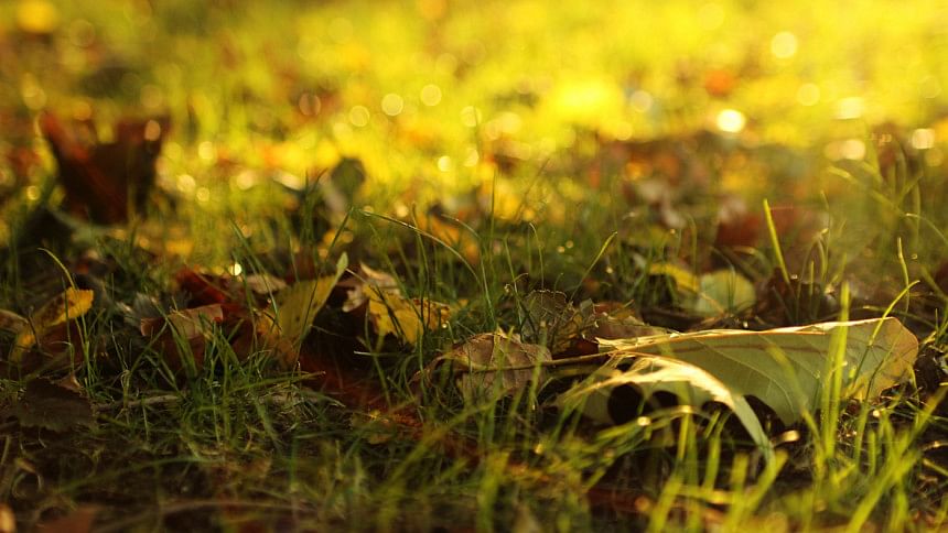 Autumn has arrived! Autumn has arrived!