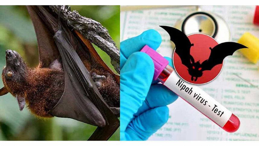 Two children die of Nipah virus infection