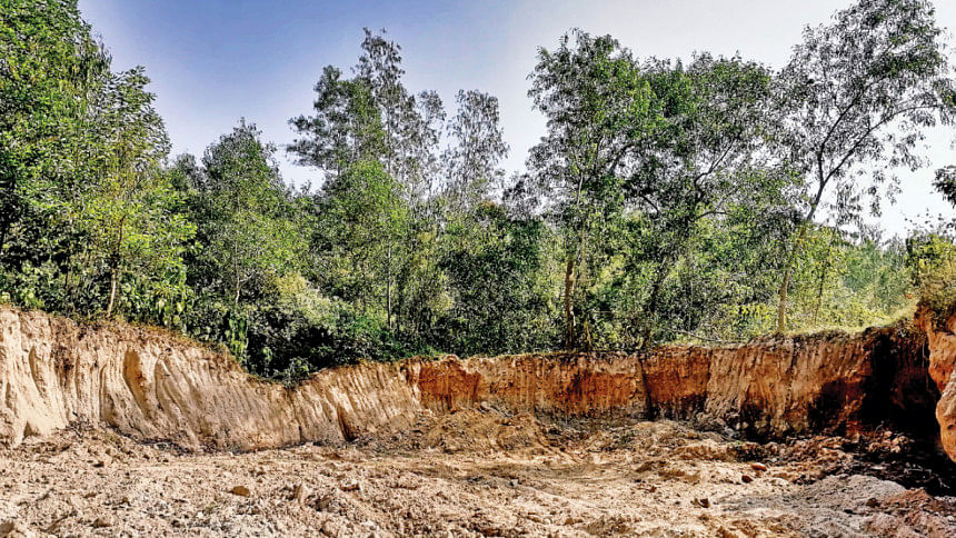 Chunati Wildlife Sanctuary: UP chairman’s men plundering it for yrs Chunati Wildlife Sanctuary