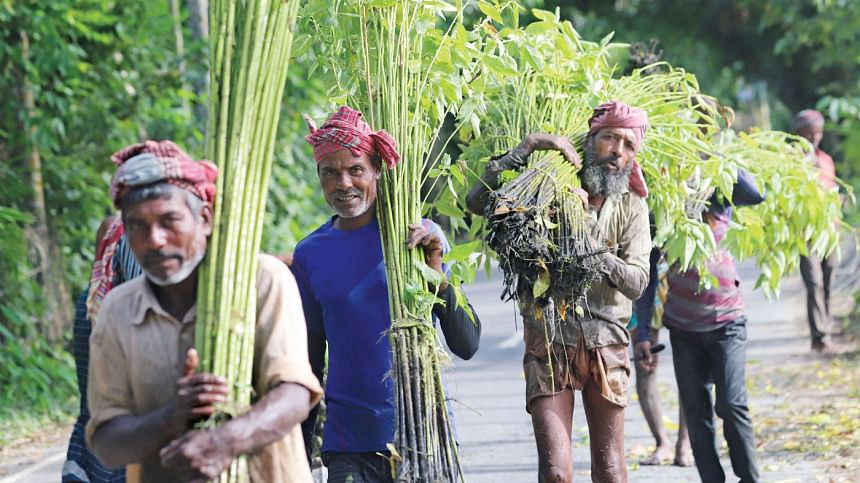 Condition eased for raw jute export condition withdrawn from raw jute export