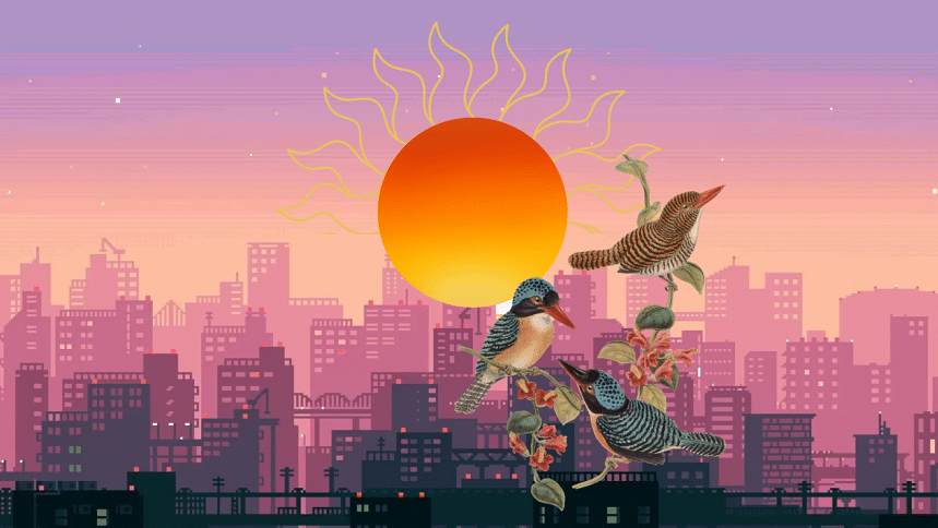 Birds in their nest with the sun on horizon over a cityscape.