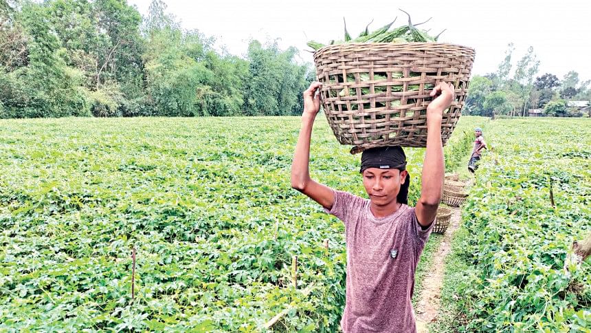 A village known for its bitter gourd Korolar Gram
