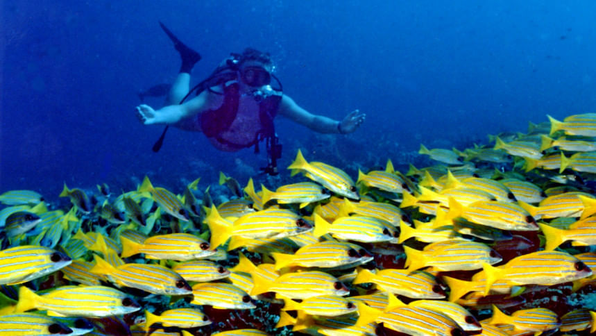 7 must-visit places for your Maldives vacation 7 must-visit places for your Maldives vacation