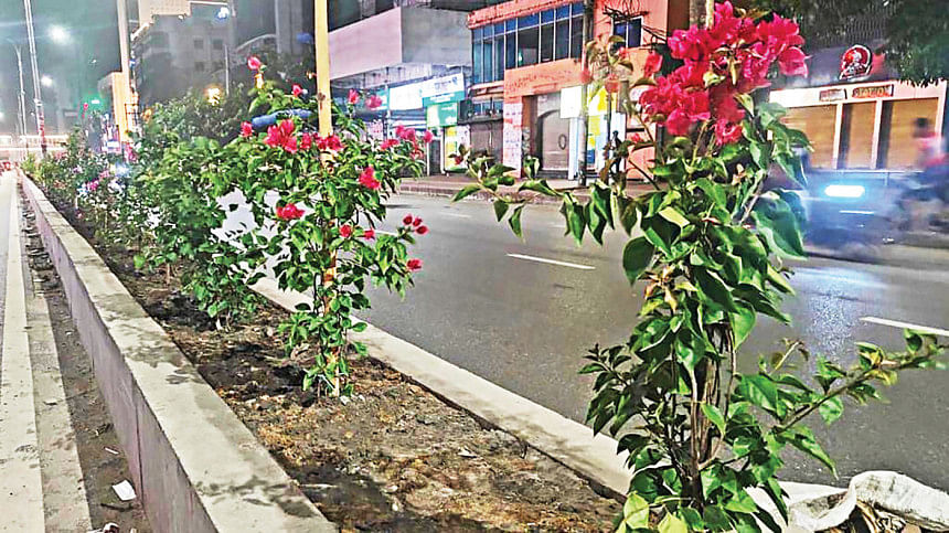 Saat Masjid Road: A curious tradeoff Tree felling on Saat Masjid Road