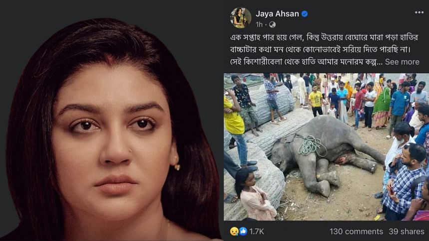 Jaya Ahsan pens emotional post after baby elephant’s death Jaya Ahsan pens emotional post after baby elephant’s death