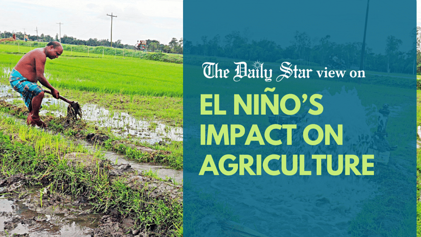 Can our agriculture survive erratic weather?