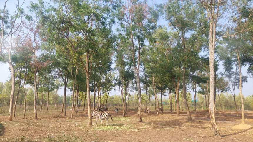 Bangabandhu Sheikh Mujib Safari Park Bangabandhu Sheikh Mujib Safari Park