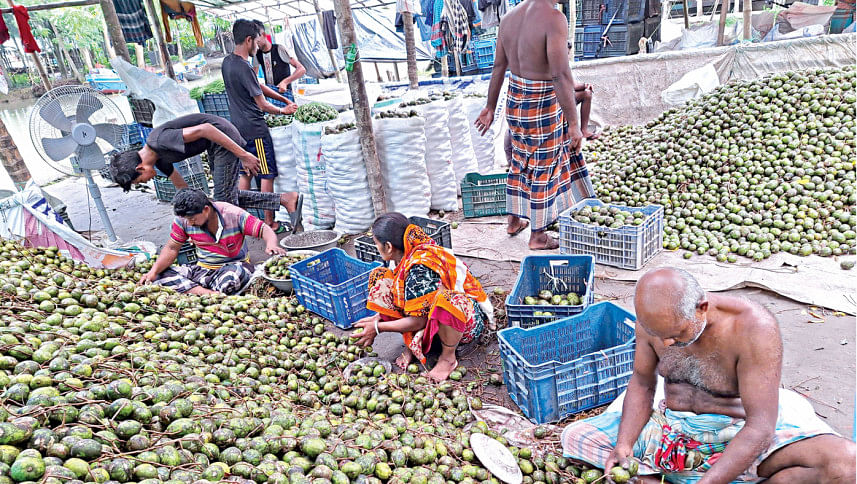 market for hog plums in Bangladesh