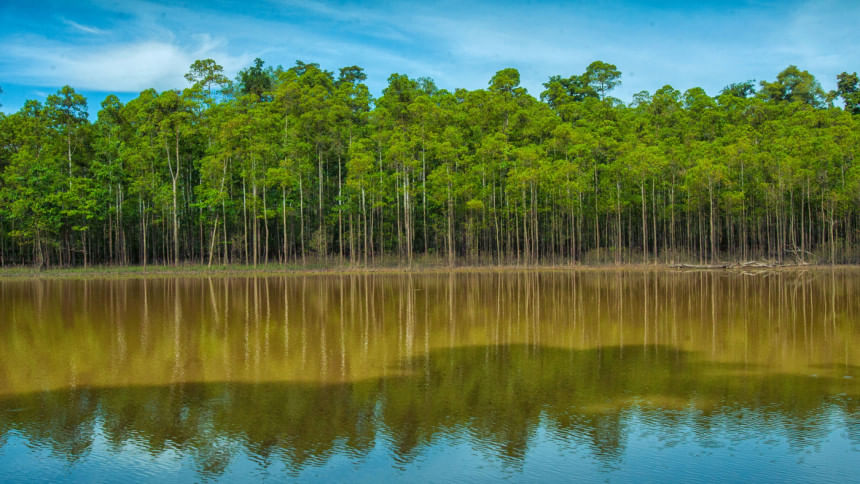 Kinabatangan River Malaysia Kinabatangan River Malaysia