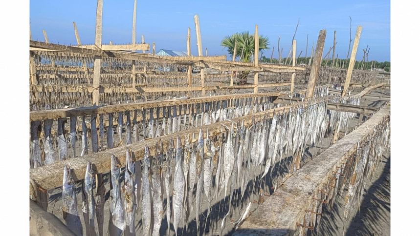 Dried-fish-kuakata
