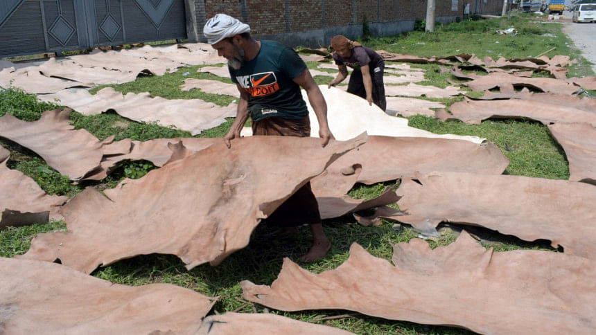 Why is our tannery industry stunted? Why is our tannery industry stunted?