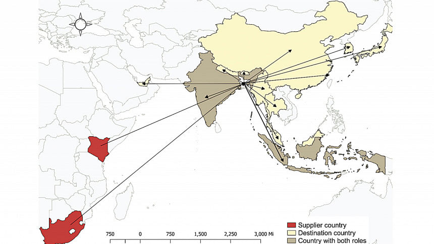 Wildlife Trafficking: Bangladesh remains a transit hotspot Wildlife Trafficking: Bangladesh remains a transit hotspot