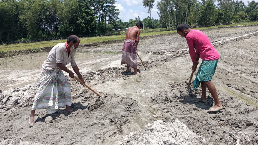 labour shortage in Boro production labour shortage in Boro production