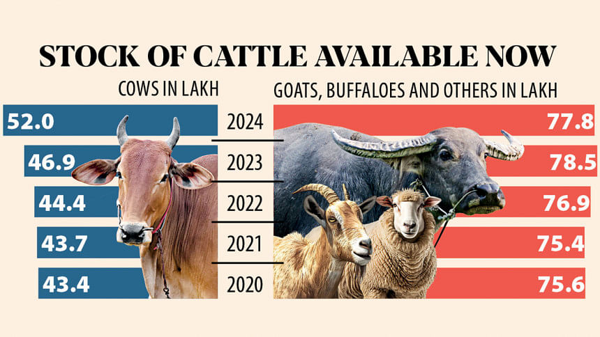 sacrificial animals for Eid Ul Azha sacrificial animals for Eid Ul Azha