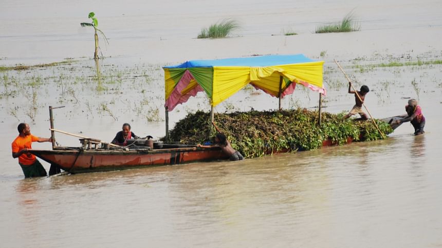 Flood deals a blow to peanut cultivation Flood deals a blow to peanut cultivation