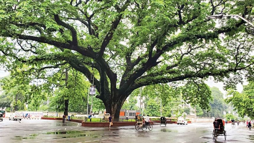 Restricting Dhaka University: When safety meets public outrage Restricting Dhaka University: When safety meets public outrage