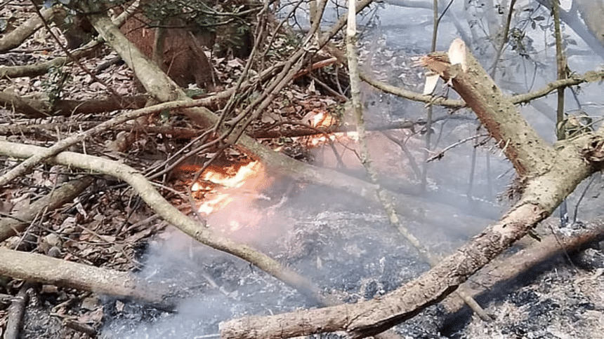 Sundarbans forest fire Sundarbans forest fire