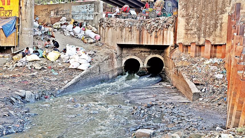 Sewage pollution killing city’s water bodies Sewage pollution killing city’s water bodies