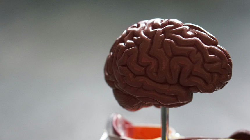 brain demo brain demo