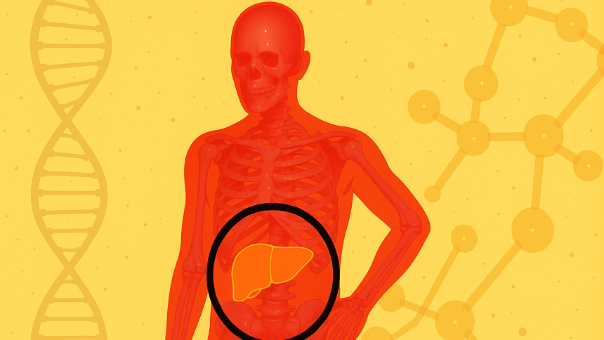 How to reverse fatty liver naturally: Expert-recommended diet tips How to reverse fatty liver naturally: Expert-recommended diet tips