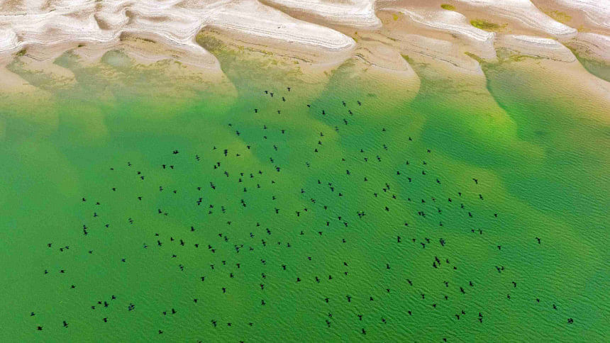 Pinu’s photo titled ‘Canvas of the Sand Flight’ Pinu’s photo titled ‘Canvas of the Sand Flight’