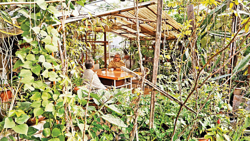 Dhaka’s rooftops could feed the city, but law keeps getting in the way Dhaka’s rooftops could feed the city, but law keeps getting in the way