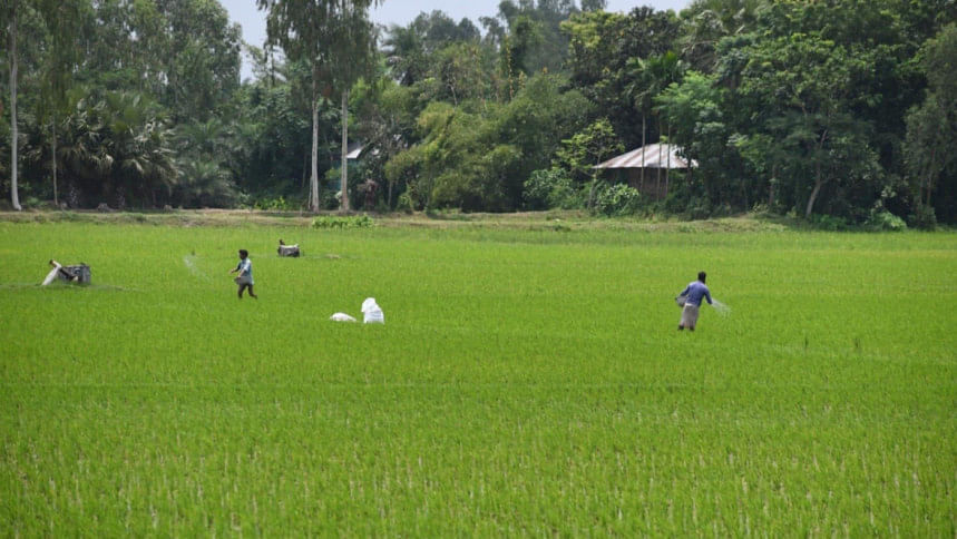 Climate change demands better forecasts for farmers Climate change demands better forecasts for farmers