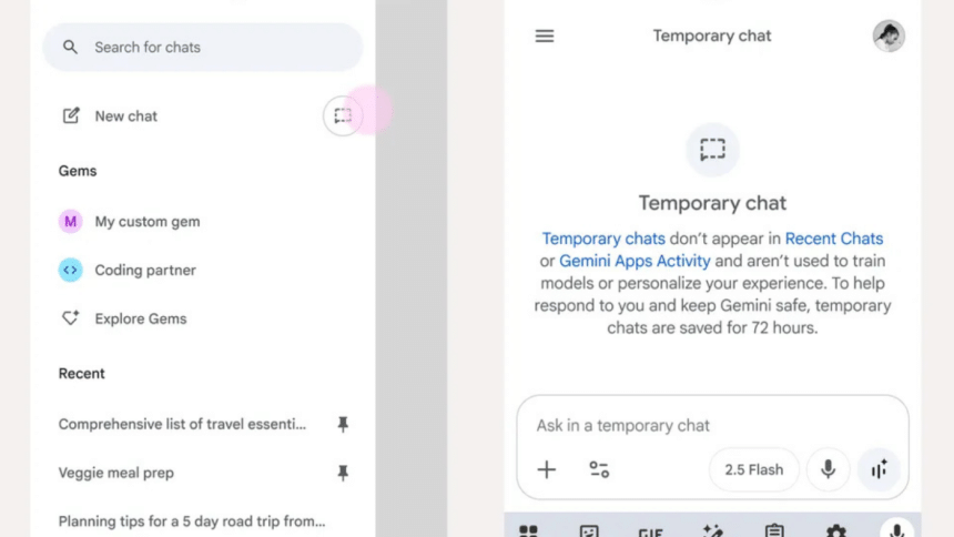 Google Gemini temporary chat Google Gemini temporary chat