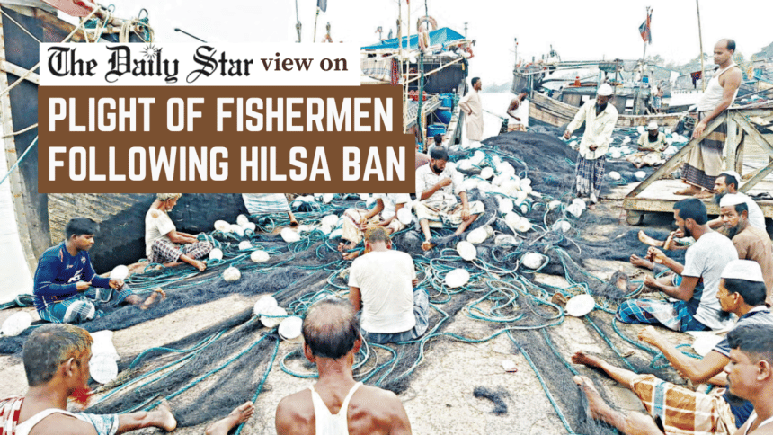 Address the plight of hilsa fishermen