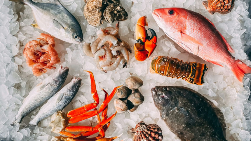 Want better focus and health? Add more fish to diet Want better focus and health? Add more fish to diet