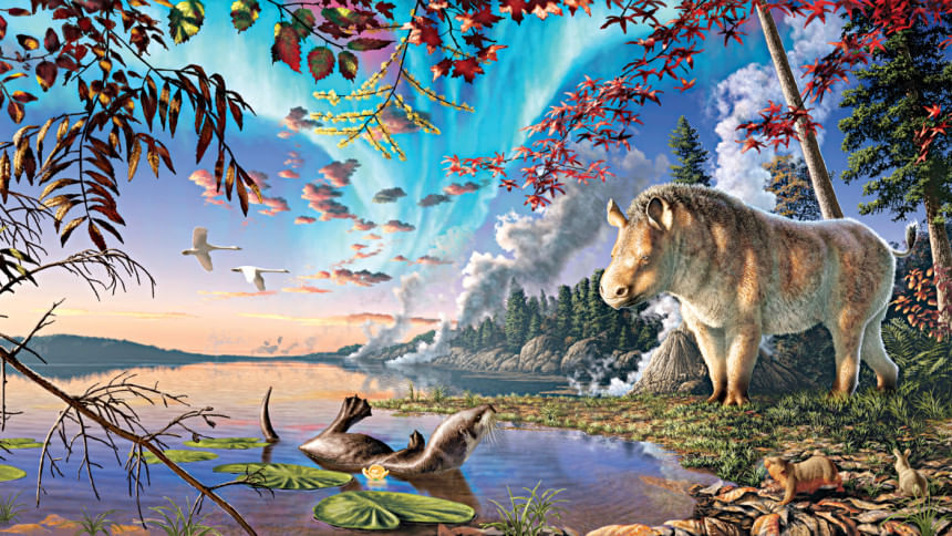 Hornless rhino roamed Canadian Arctic 23m yrs ago