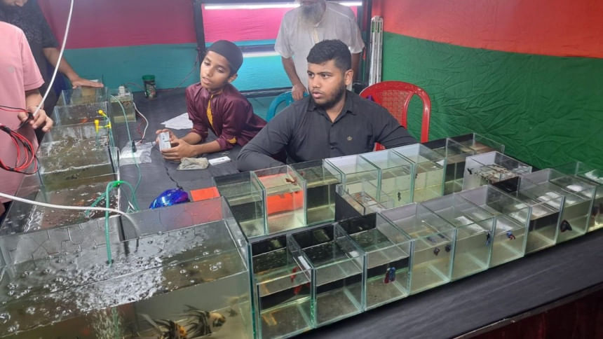 Youth finds success in ornamental fish farming in Patuakhali