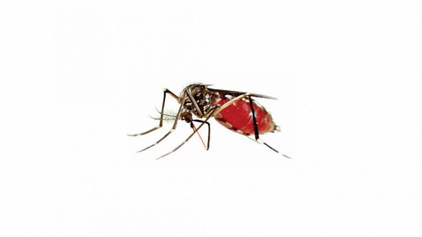 Dengue cases in Bangladesh 2022 Dengue cases in Bangladesh 2022