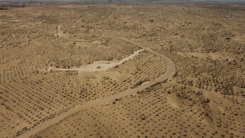 A snapshot of ongoing afforestation efforts in China's Great Green Wall project A snapshot of ongoing afforestation efforts in China's Great Green Wall project