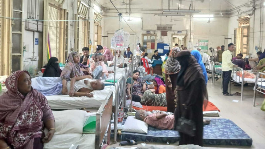 8 more die of dengue, 778 get hospitalised