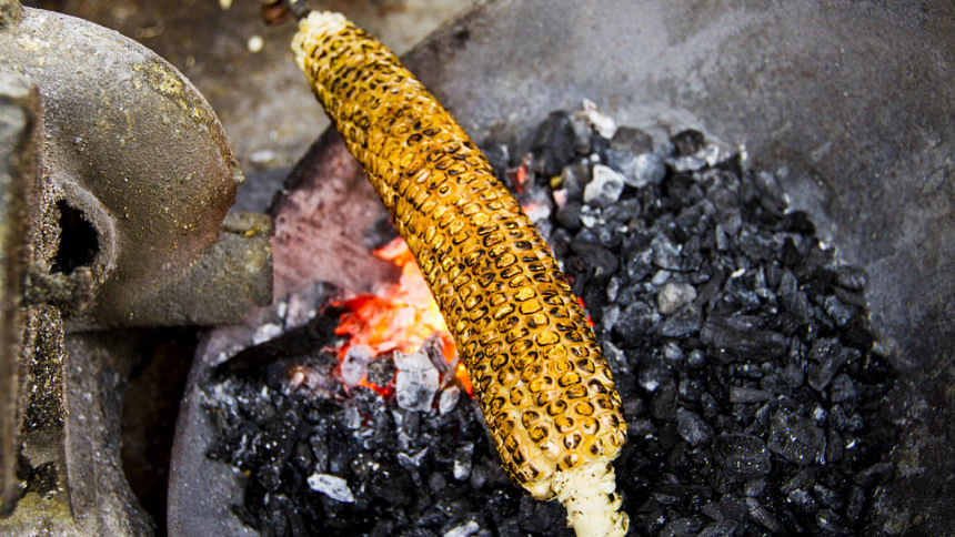 Corn Corn