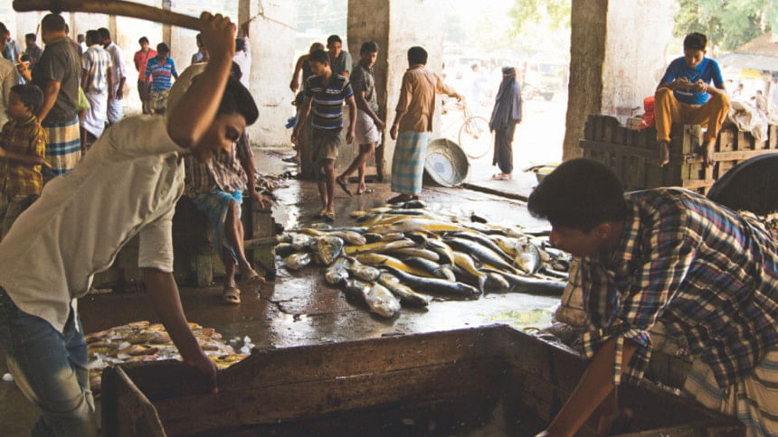 Surviving fish market Surviving fish market