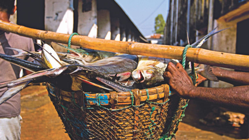 Surviving fish market Surviving fish market