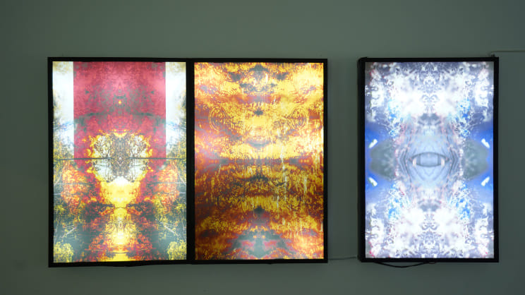 Tanvir Parvez’s third solo exhibition reflects on mind and perception