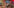Coke Studio Season 4