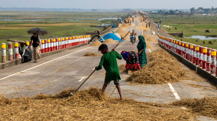 All weather road has become a development tragedy in the Haor. Photo: Orchid Chakma